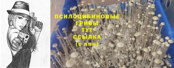 спиды Абдулино